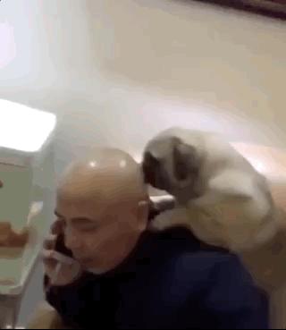 站着走路腰不舒服坐着没事,走路累了倒走能缓解吗