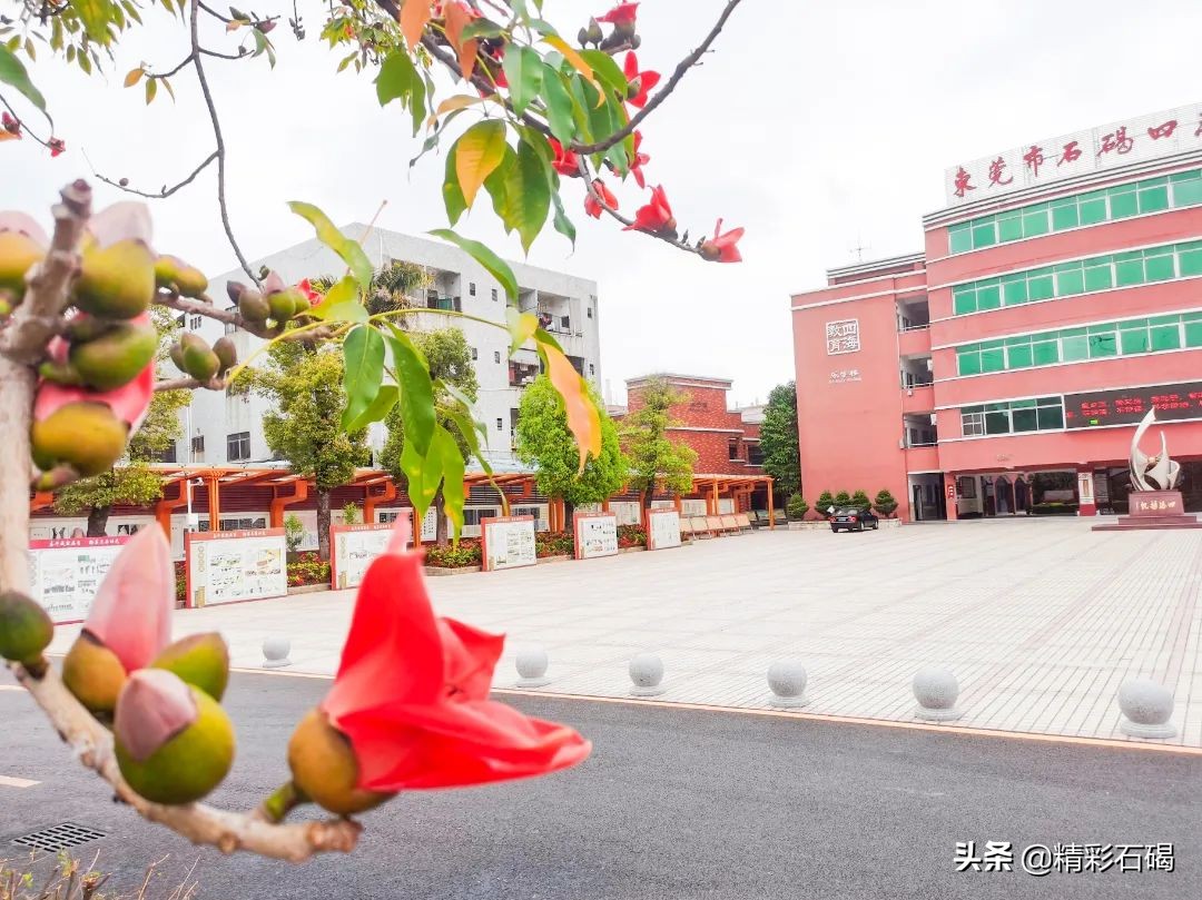 东莞石碣四海学校排名,东莞市四海英才小学招生简章