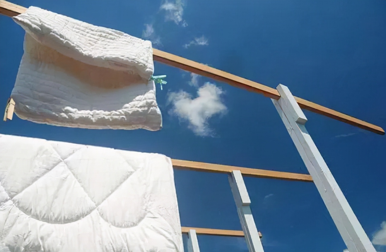 被子长期不晒“螨虫”扎堆？教你一招，不用晒不用洗，除螨又卫生