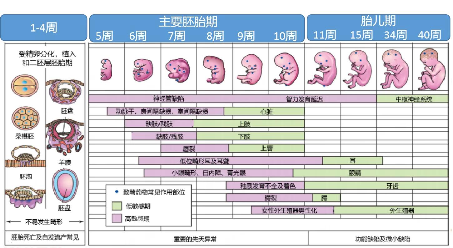 不知道怀孕了吃药了需要流产吗,不知道怀孕吃药了孩子还能要吗
