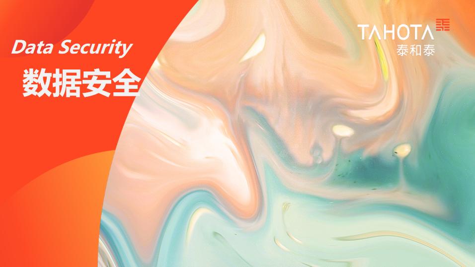 泰和泰研析丨落实与细化：《个人信息出境标准合同办法》正式发布