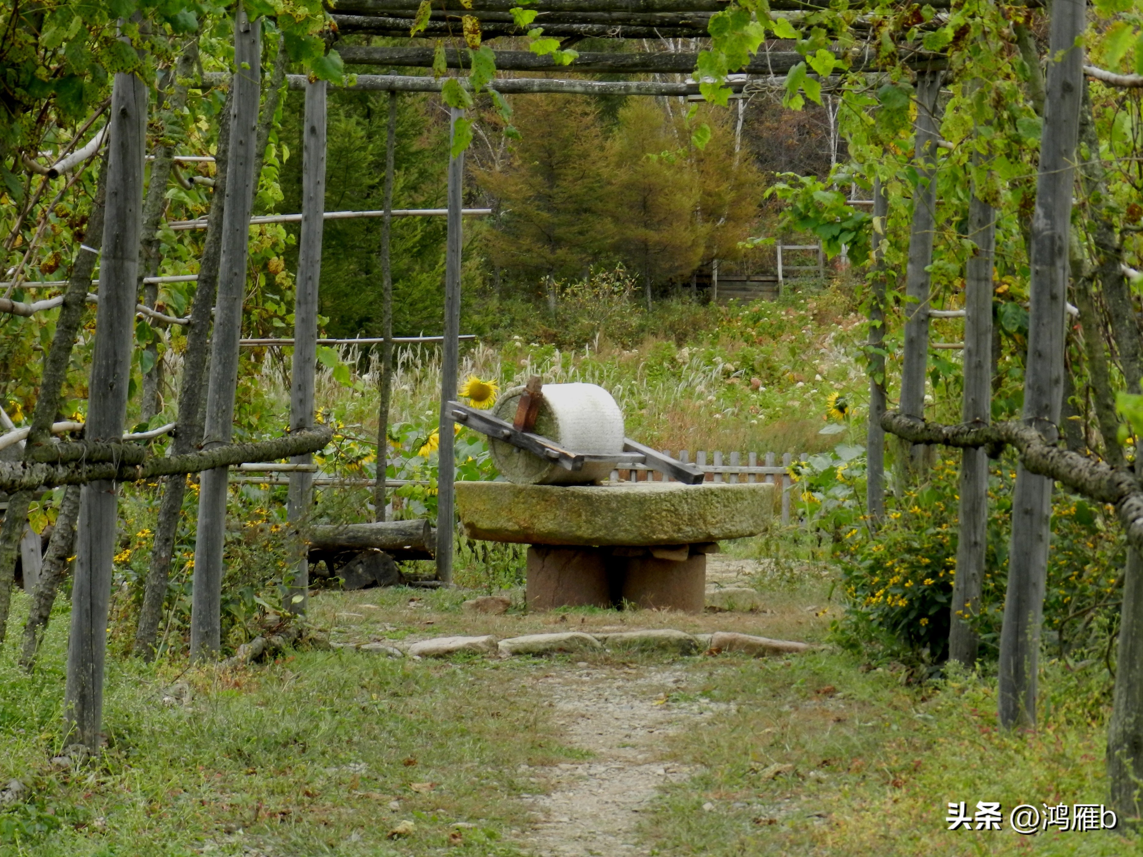本溪温泉汤沟门票价格,本溪花溪沐枫雪温泉小镇