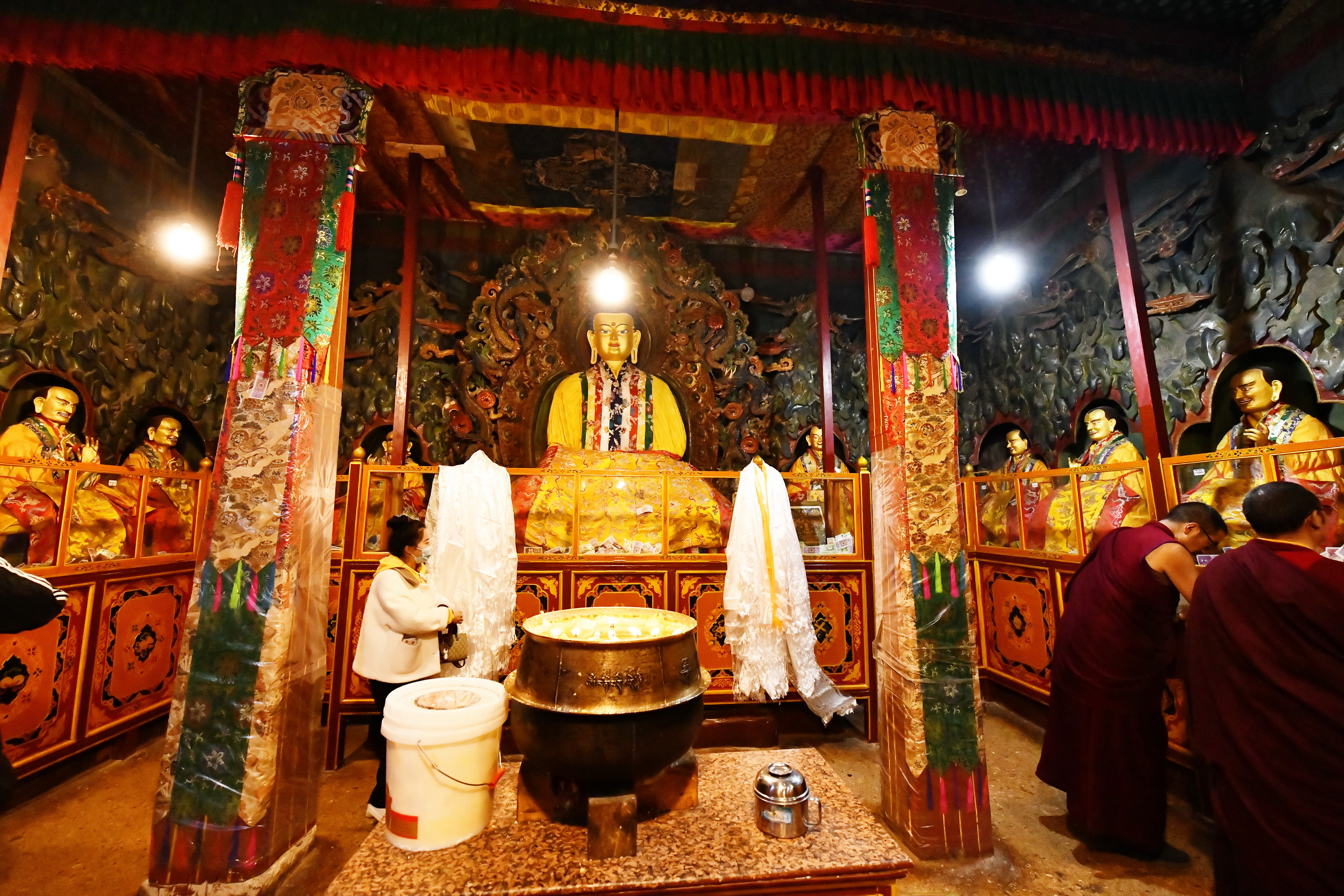 我的林芝一日游攻略,林芝看桃花西藏之旅