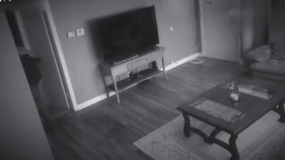 狗狗半夜无故吠叫，主人查看监控吓坏了：门把手在动