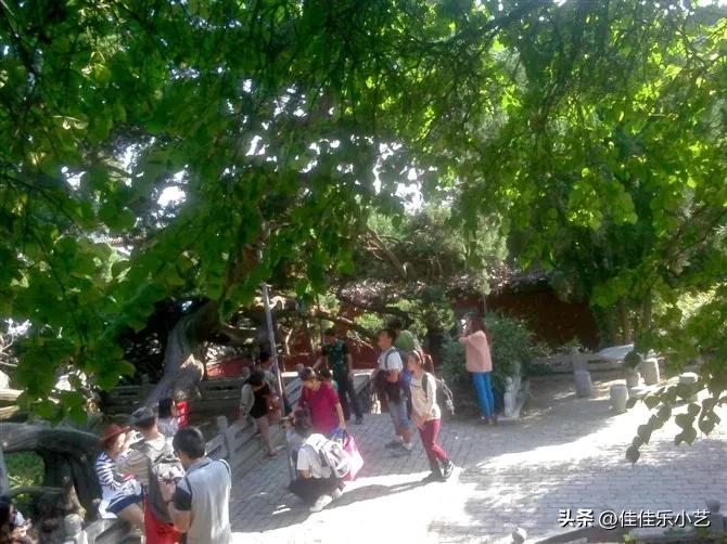 有时候工作累了有情绪了,工作很累但是要保持美好的心情