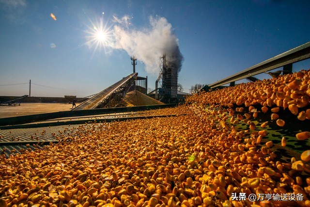 粮食烘干塔内部安装结构图,粮食烘干塔场地需要的手续