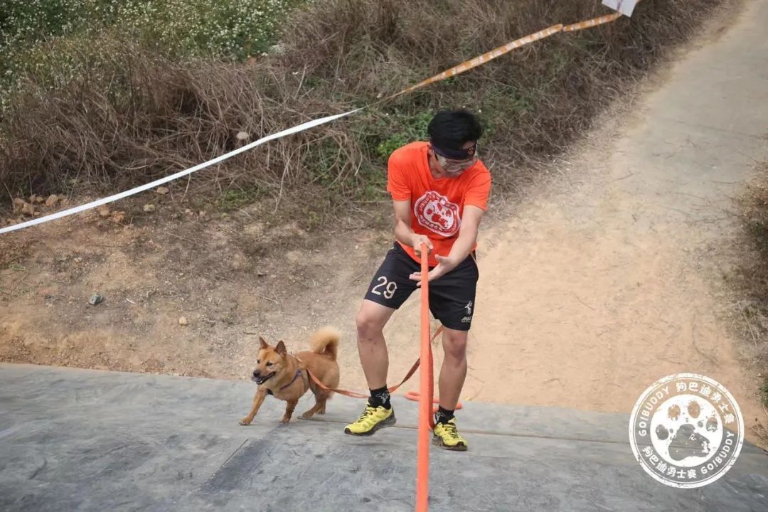 狗巴迪勇士赛程,狗巴迪勇士赛是赛级犬吗