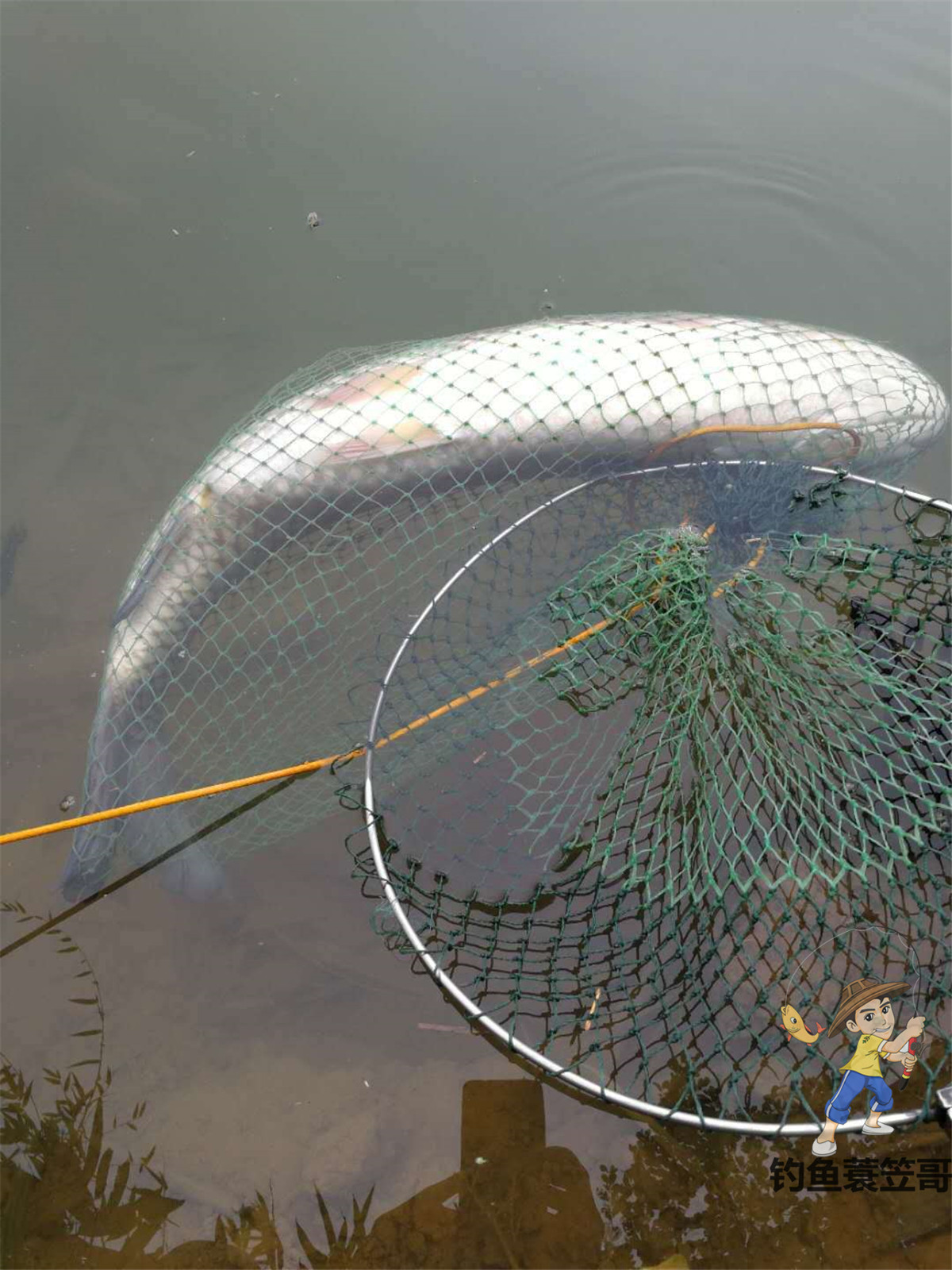 野钓中鱼后该怎么控鱼,刺鱼遛鱼技巧