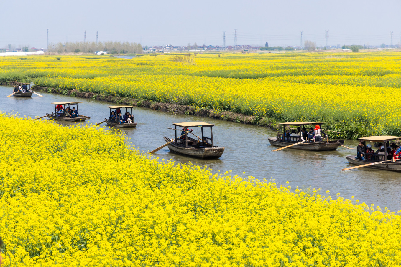 春日下江南杭州,泰州一日游攻略美食