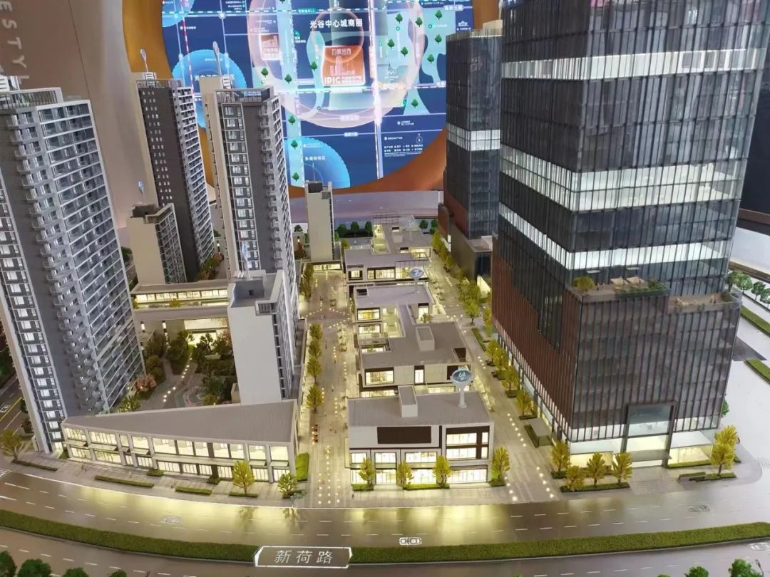 用脚丈量武汉100个楼盘，第一集（1-5项目）