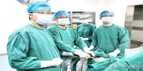 【岳医微光】优秀医生｜展播——胸外、普外一科蒋先学