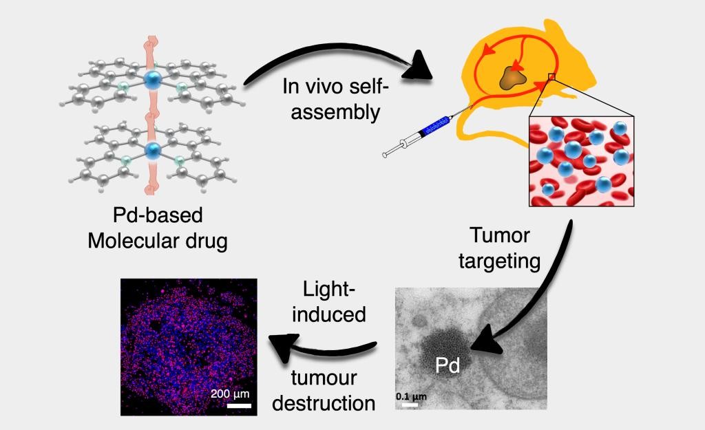 聚焦“抗癌药物”，大连理工“牵手”荷兰名校，最新成果引发国际关注！