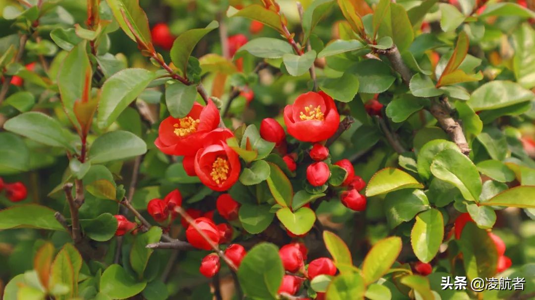 共赴春之约携手新征程,共赴春天之约携手砥砺前行