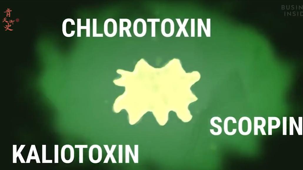 盘点十种神奇动物的价格,盘点五种有巨毒的生物