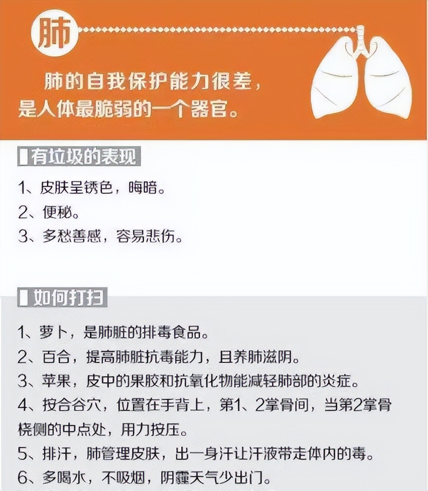最全的中医五脏六腑的功能介绍,中医专家讲解五脏六腑视频