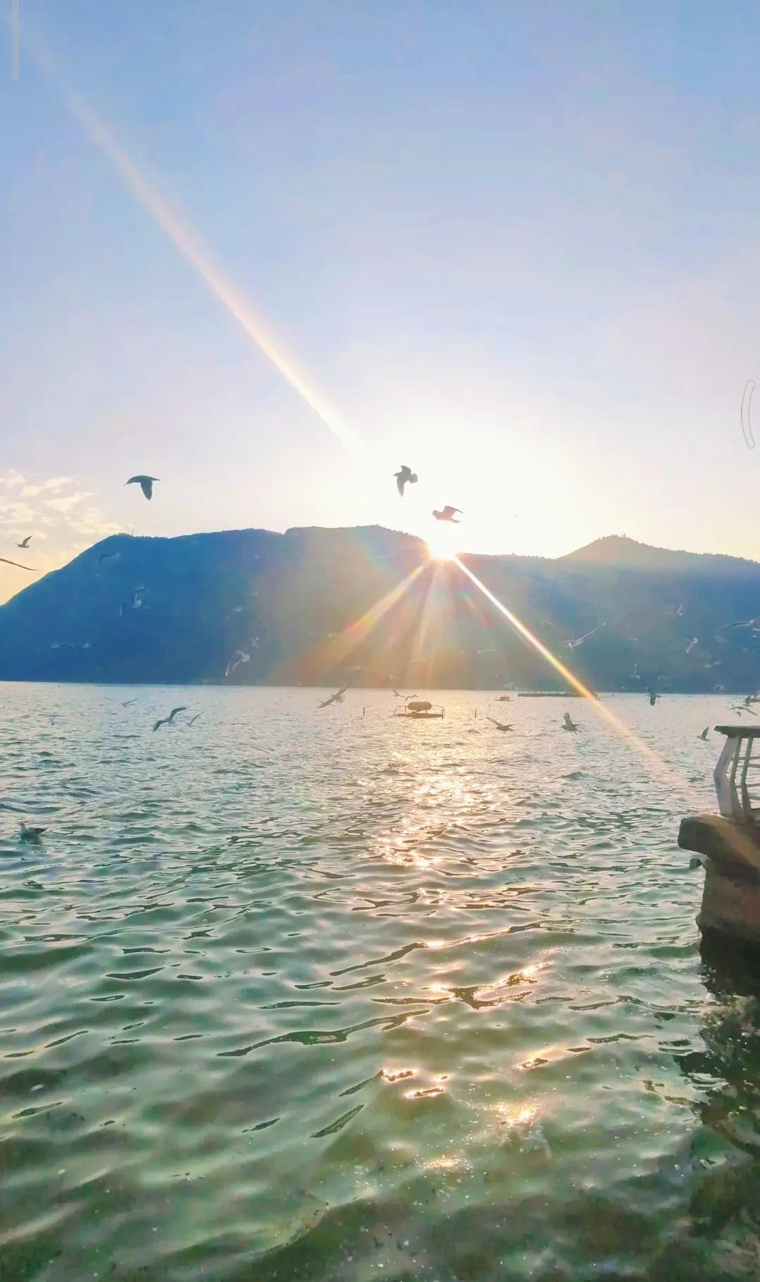 大美云南风景区,昆明海埂花园