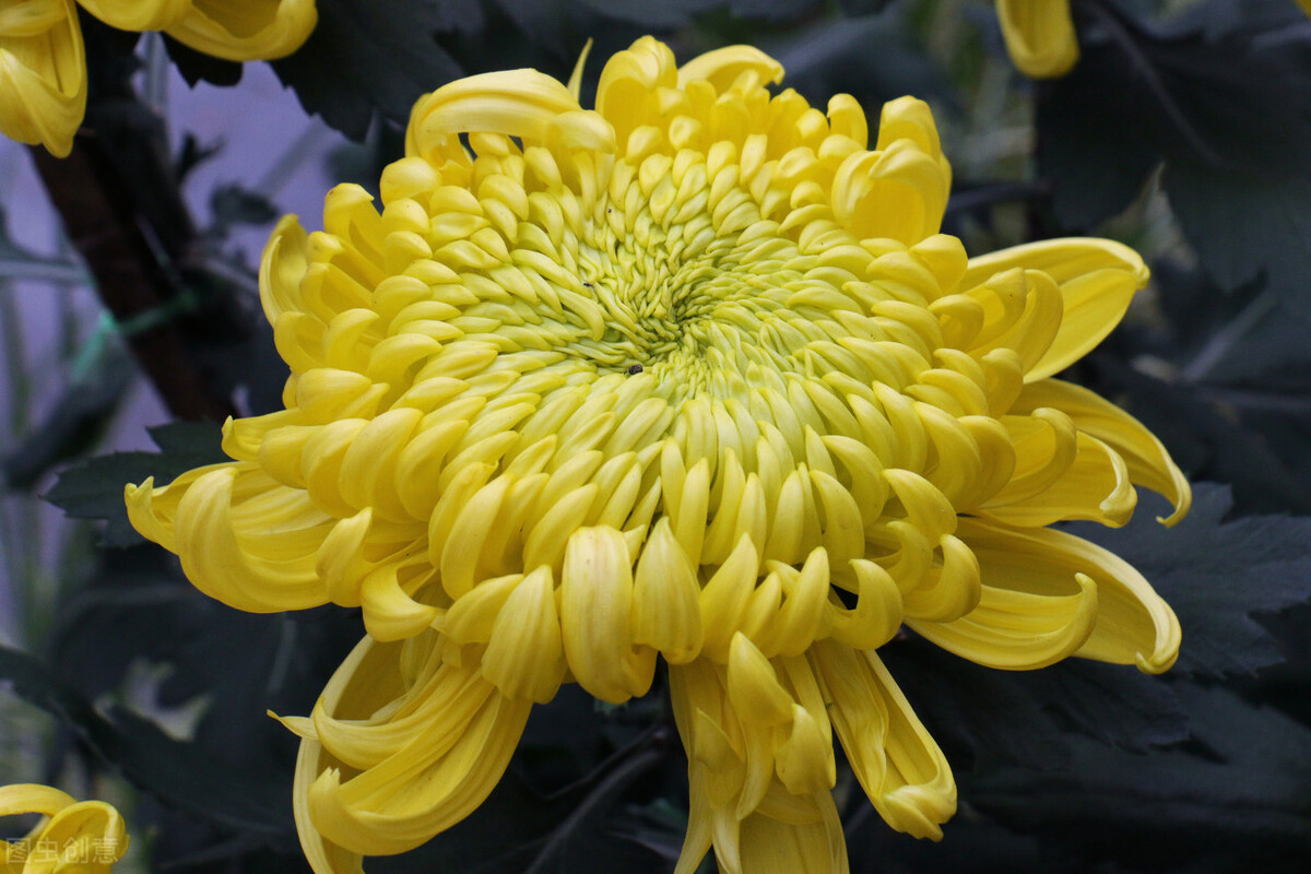 郭进栓汝州,郭进栓