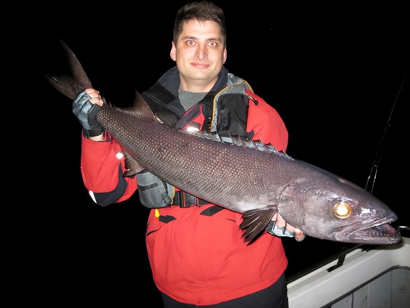 油鱼有多可怕,油鱼到底有多可怕