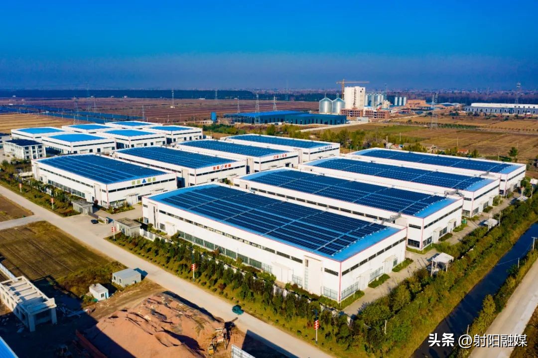 竞逐新赛道勇当排头兵表态发言,竞逐新赛道塑强新动能