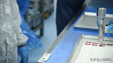 选择奉贤选择未来丨陈自立：一辈子深耕一件喜欢的事