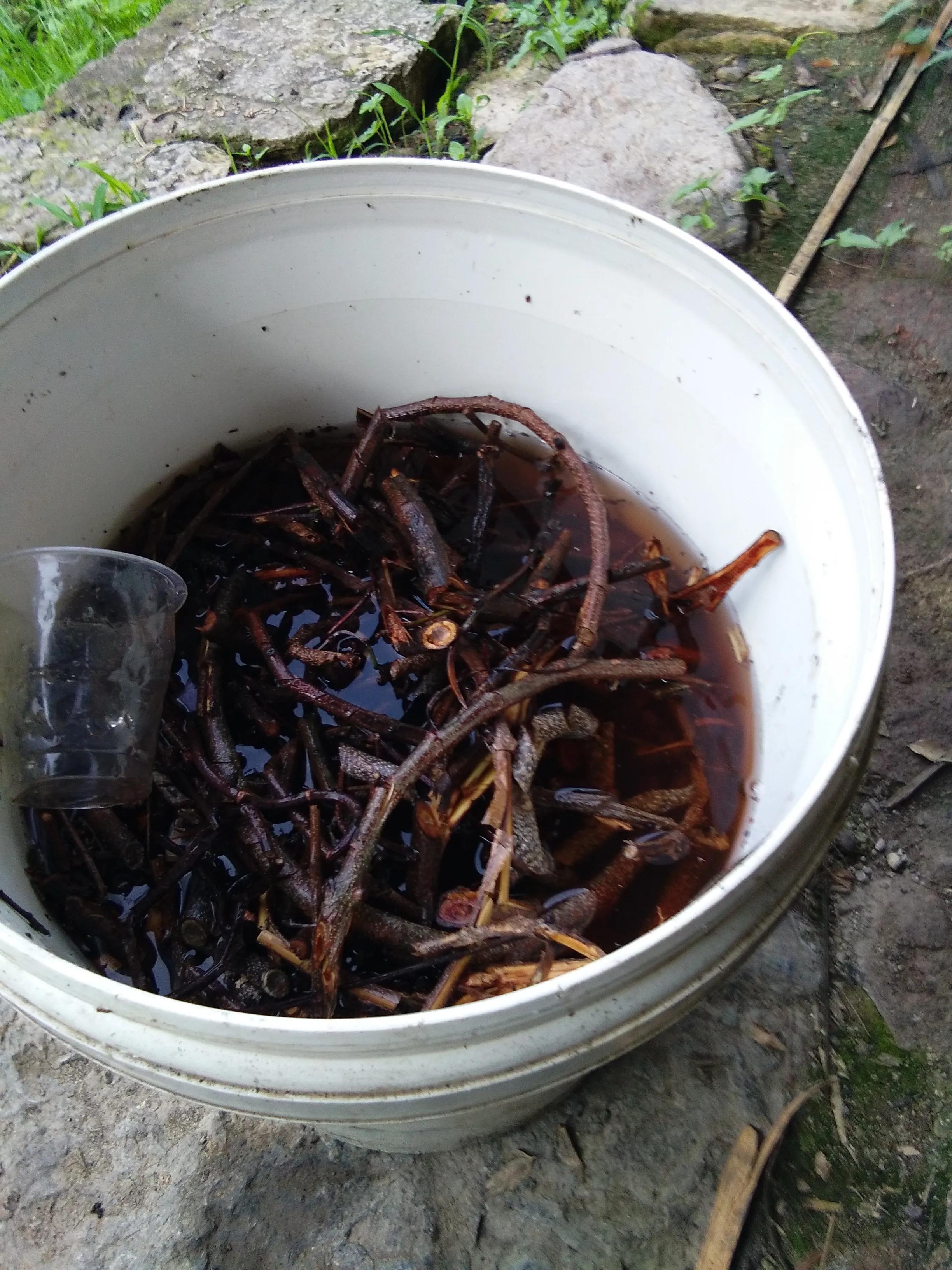 植物杀虫剂苯甲吡唑酯,植物性杀虫剂