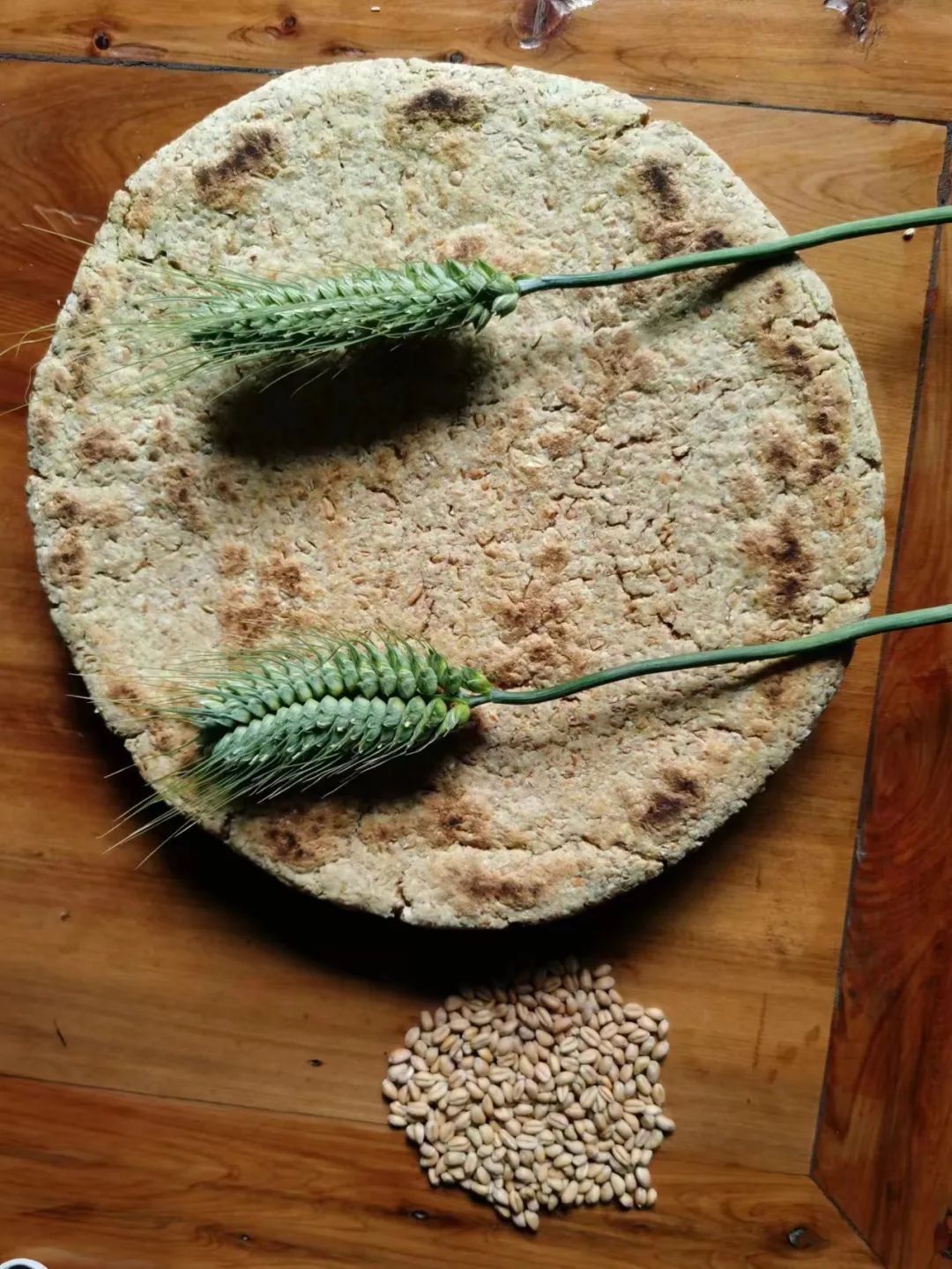 找回老种子,找回遗珠