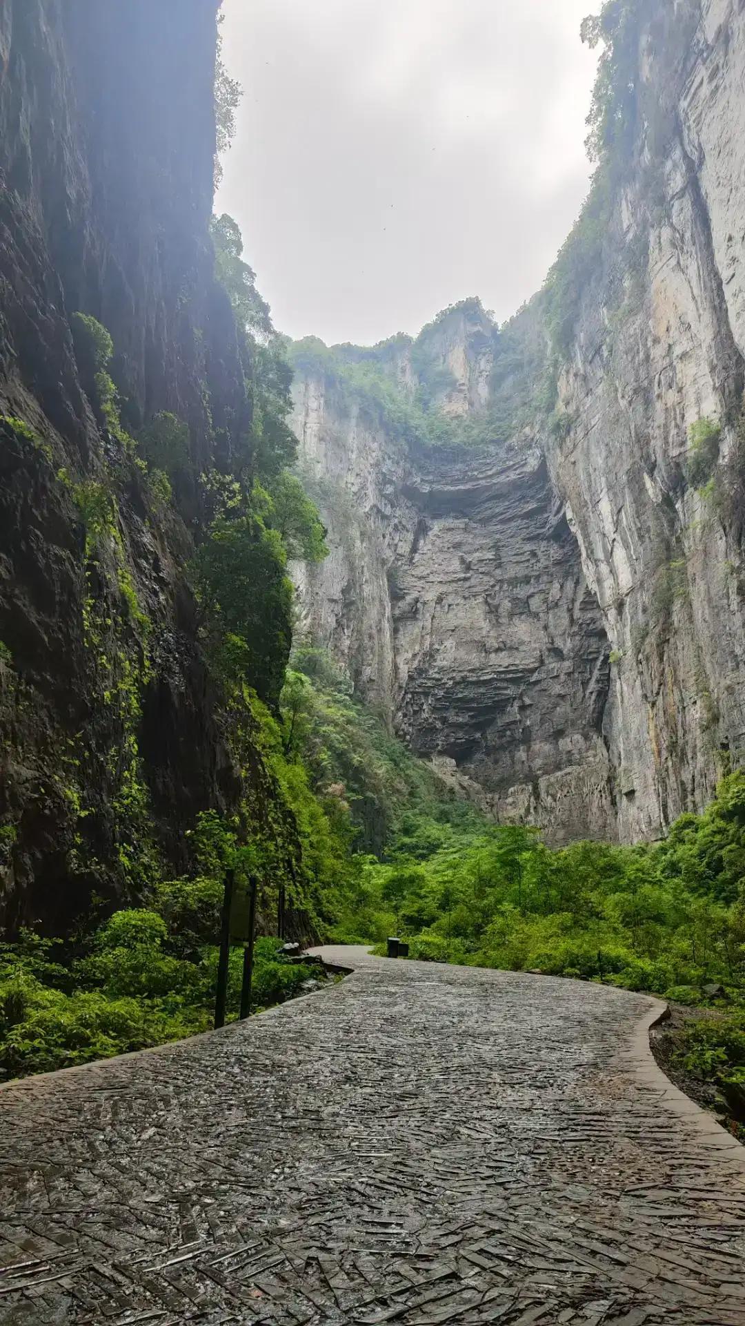 组织行为学案例阿里巴巴,组织行为学案例视频