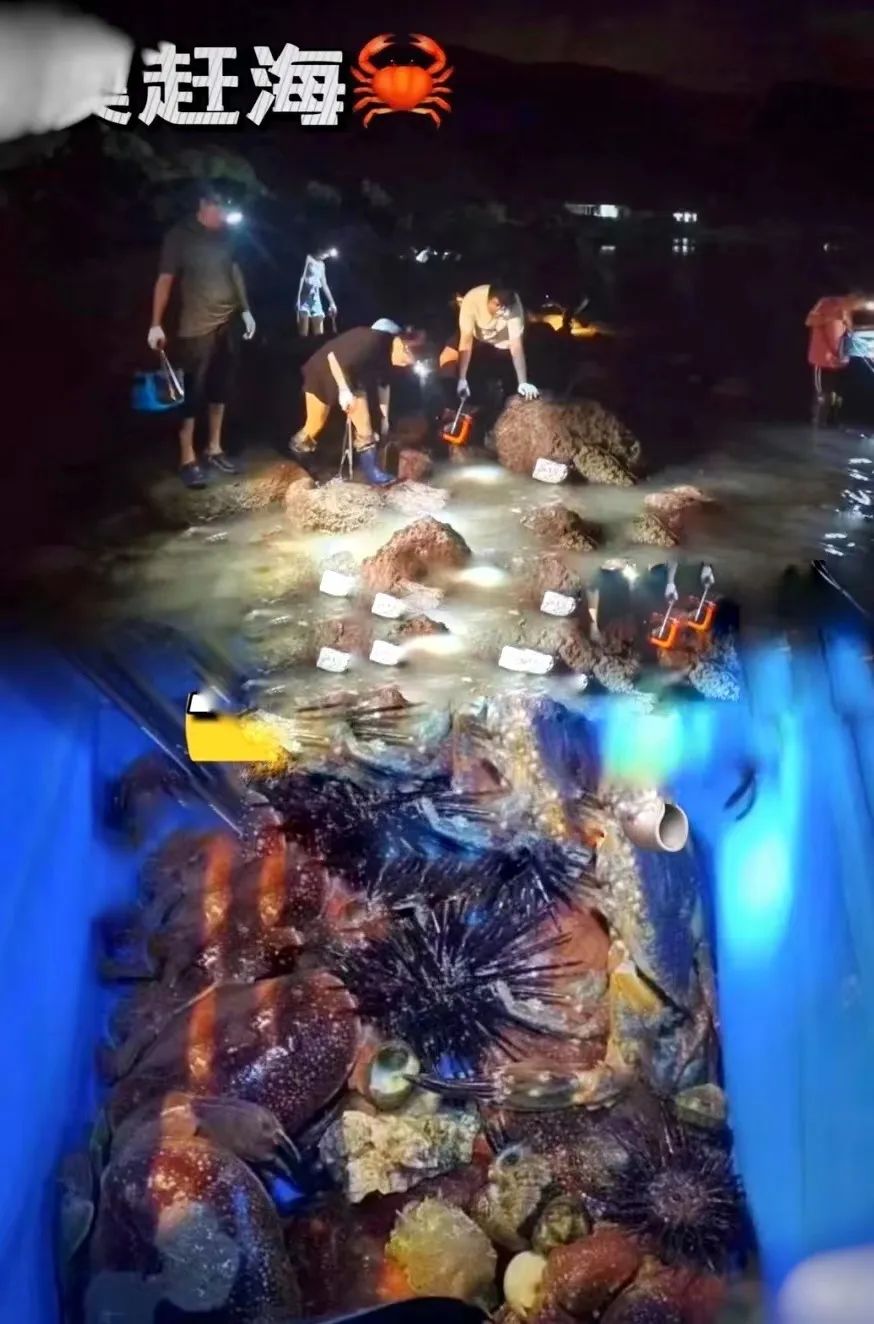 最新海南环岛旅游路线攻略,海南岛自驾性价比最高旅游攻略