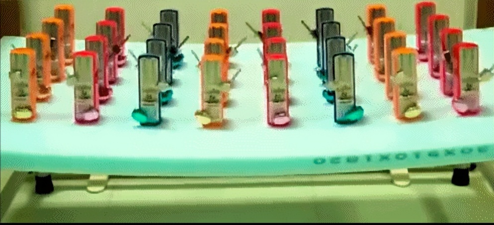 凌晨6点，香港中环健身房爆满，我顿悟了年薪百万的财富密码