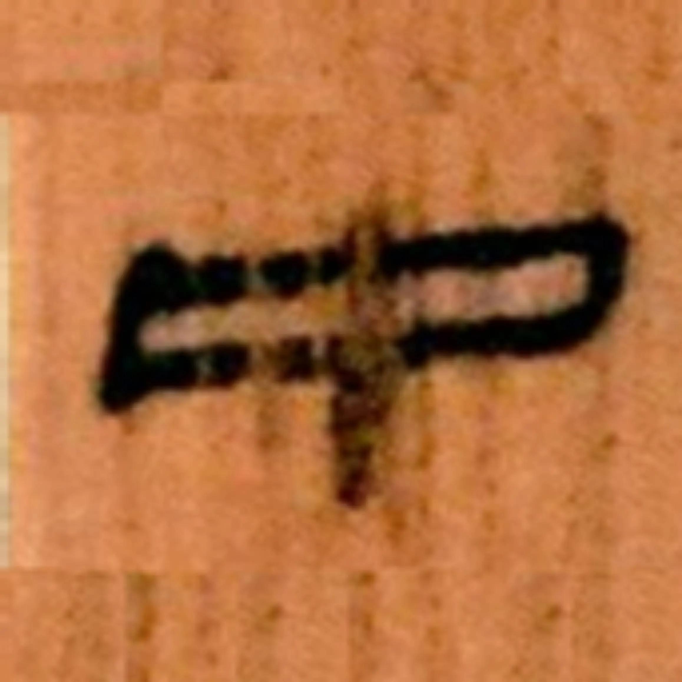 北大汉简属于哪类汉简,北大汉简简介