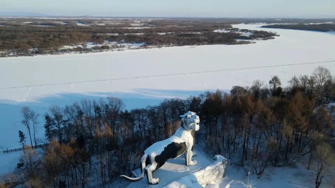 瀹堟姢涓囧骞冲畨闄ゅ澶滄淳鍑烘墍,瀹堟姢涓囧鍥㈠渾璀﹀療鏂囩珷