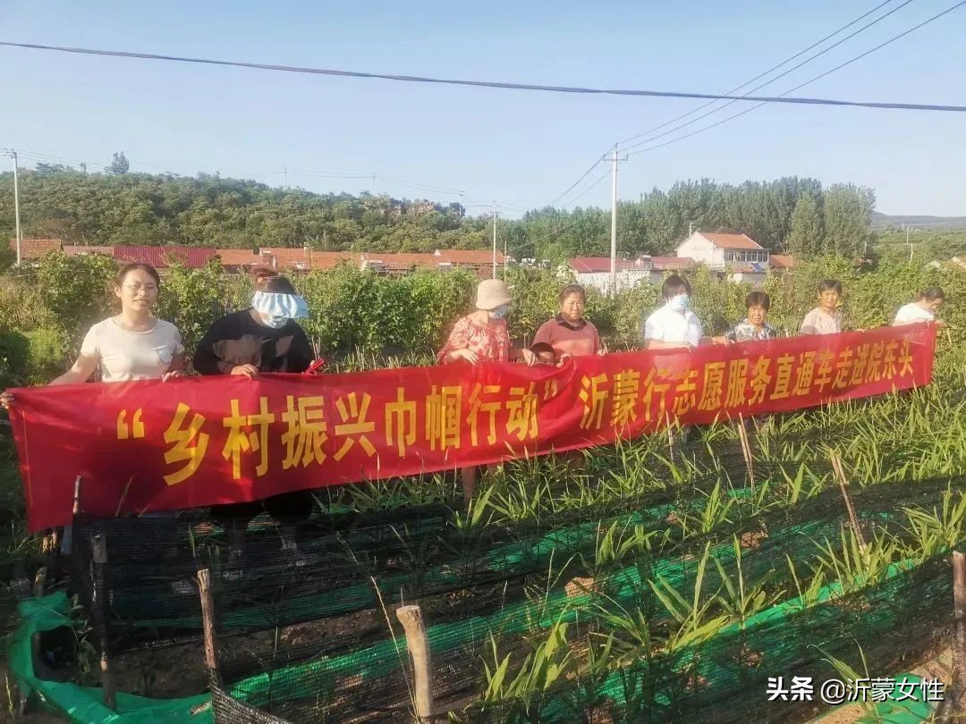 “沂”起学理论·创业创新巾帼行罗庄、沂水、费县、兰陵开展“乡村振兴巾帼行动”沂蒙行志愿服务直通车活动