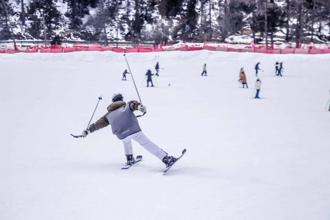 离乐山最近的滑雪场,乐山滑雪温泉