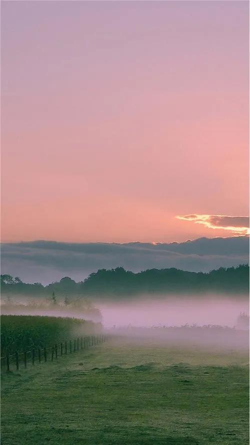 真实大自然风景图片手机壁纸,花草树木壁纸高清风景图片