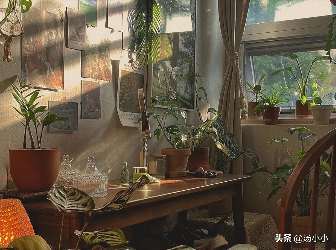 一年被辞退了4次,一个同事毫无征兆被辞退了