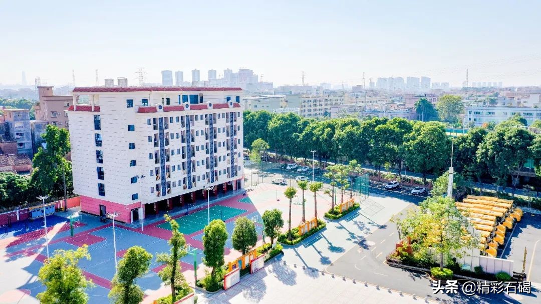 东莞石碣信息技术学校招生信息,石碣四海学校收费标准