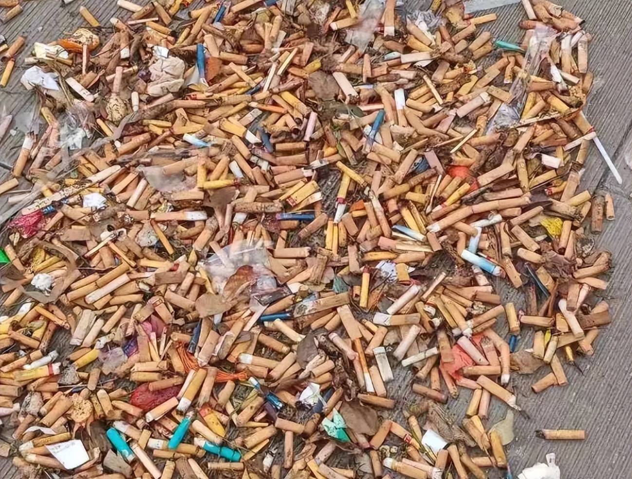 日本回收中国的烟头干什么,日本收购废弃烟头的目的