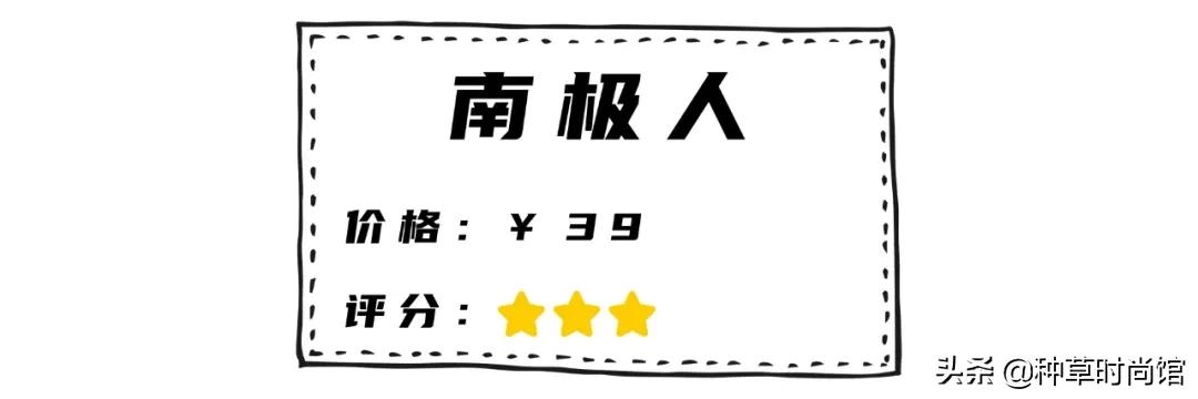 全网爆火的6条加绒黑丝测评，帮你避雷