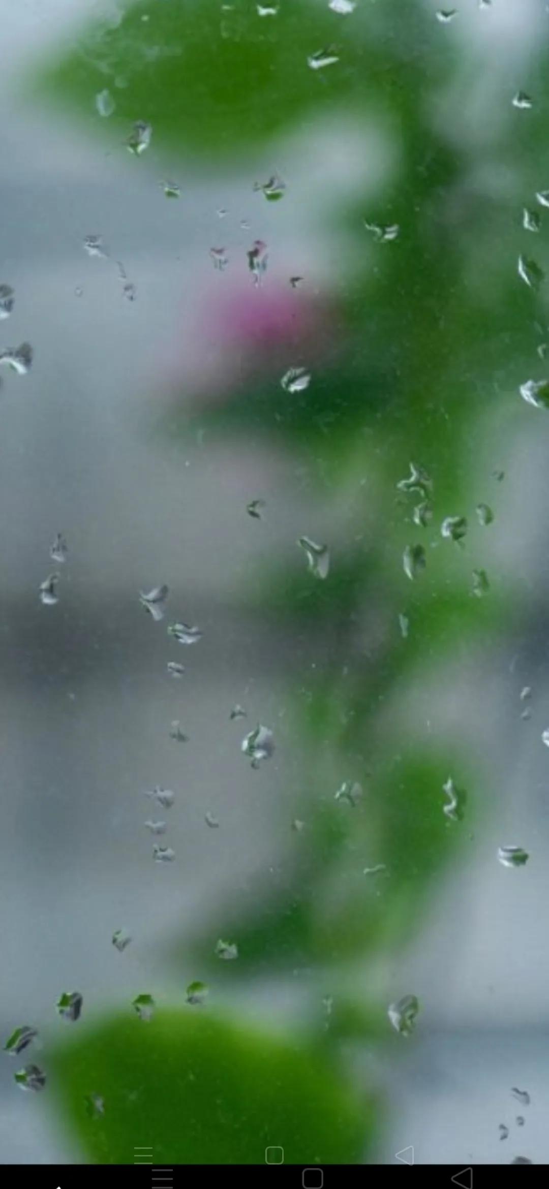 风雨人生第36集,风雨人生40集全免费