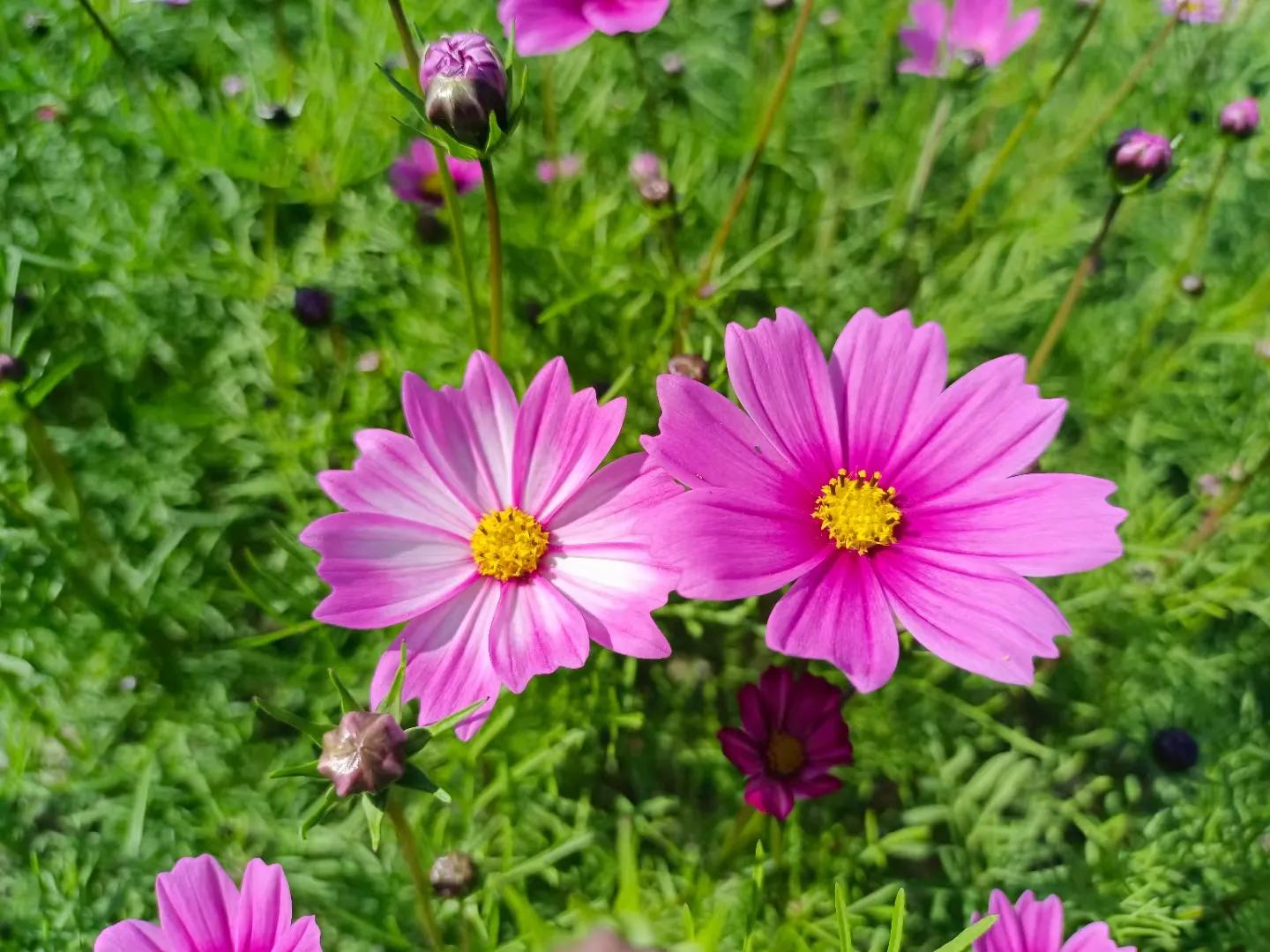 输掉了几十万后，我翻然悔悟了：十赌九输，麻将桌上没有赢家