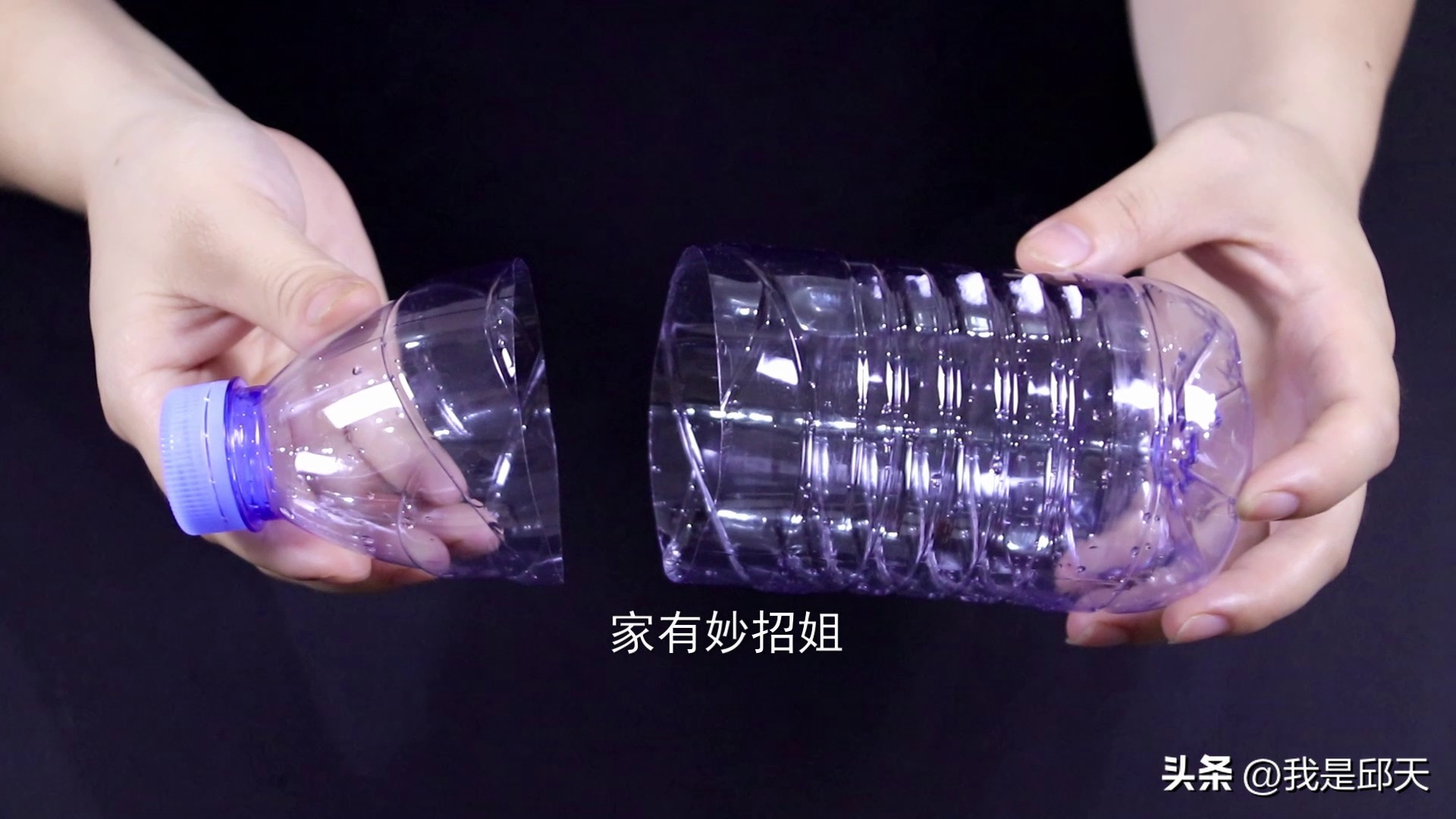 家里有蚊子不用愁只需一个啤酒瓶,家里有蚊子用什么小妙方把它消灭