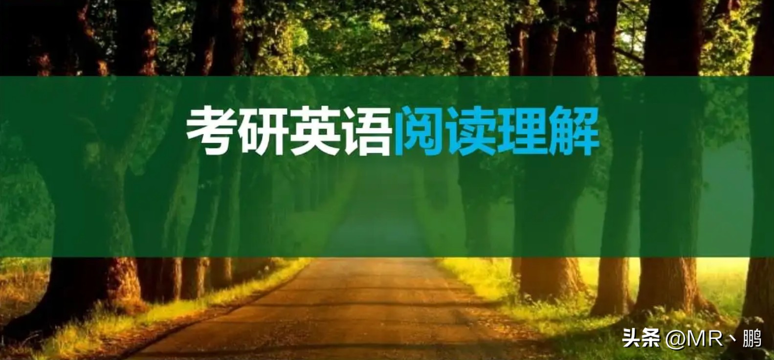 英语一考研大纲,23考研英语一考试大纲