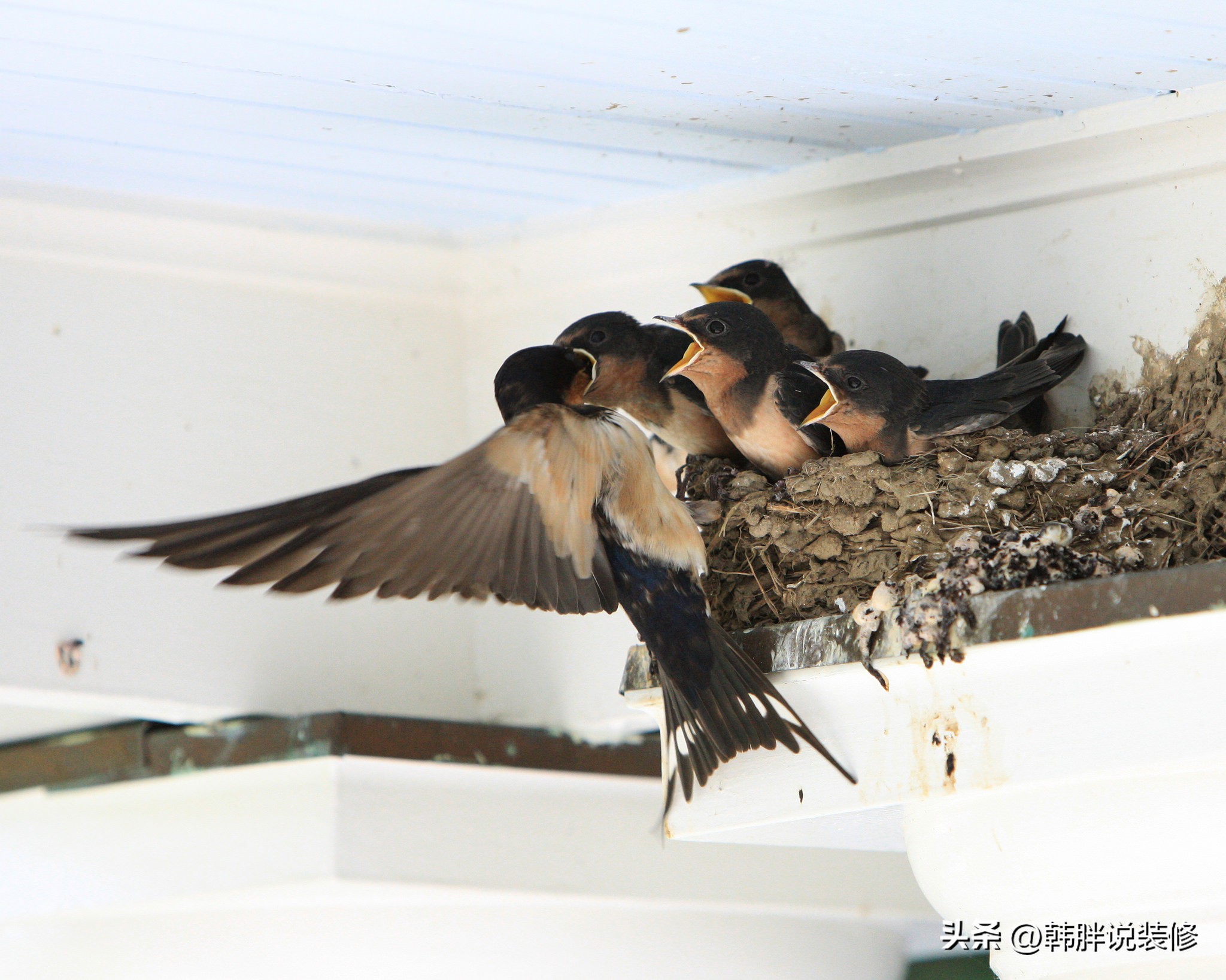 常言道后面一句是什么,常言道后半句是什么