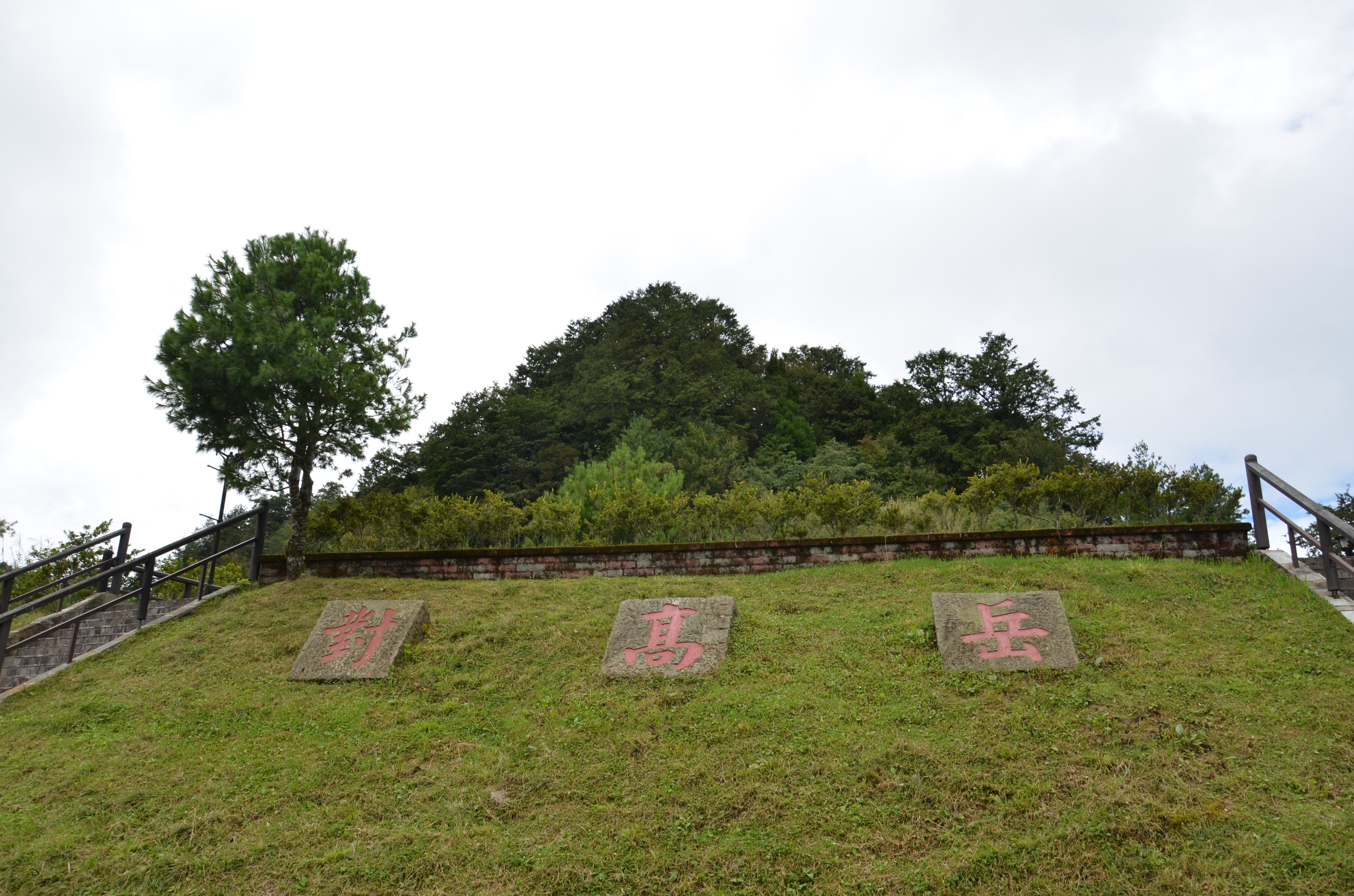 台湾阿里山古树,台湾阿里山景区
