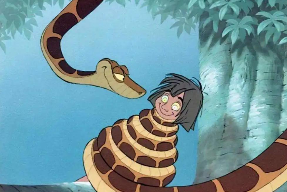 如果在野外遇到森蚺怎么办,亚马逊森蚺真的能生吞活人吗