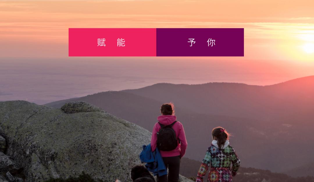 最严保健品整顿工作,保健品大整顿公司出路