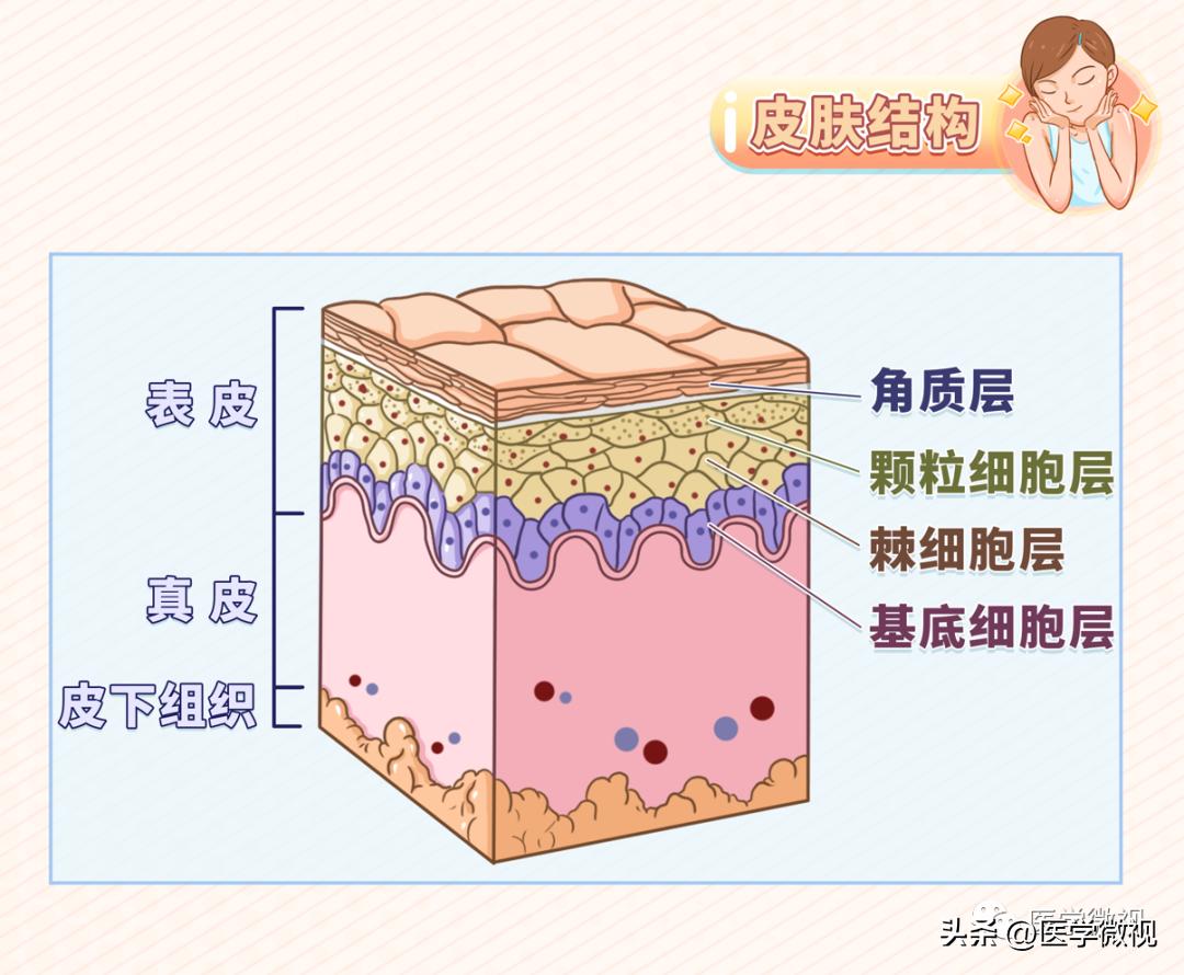 蒸脸仪与面膜哪个补水效果好,蒸脸仪可以保湿吗