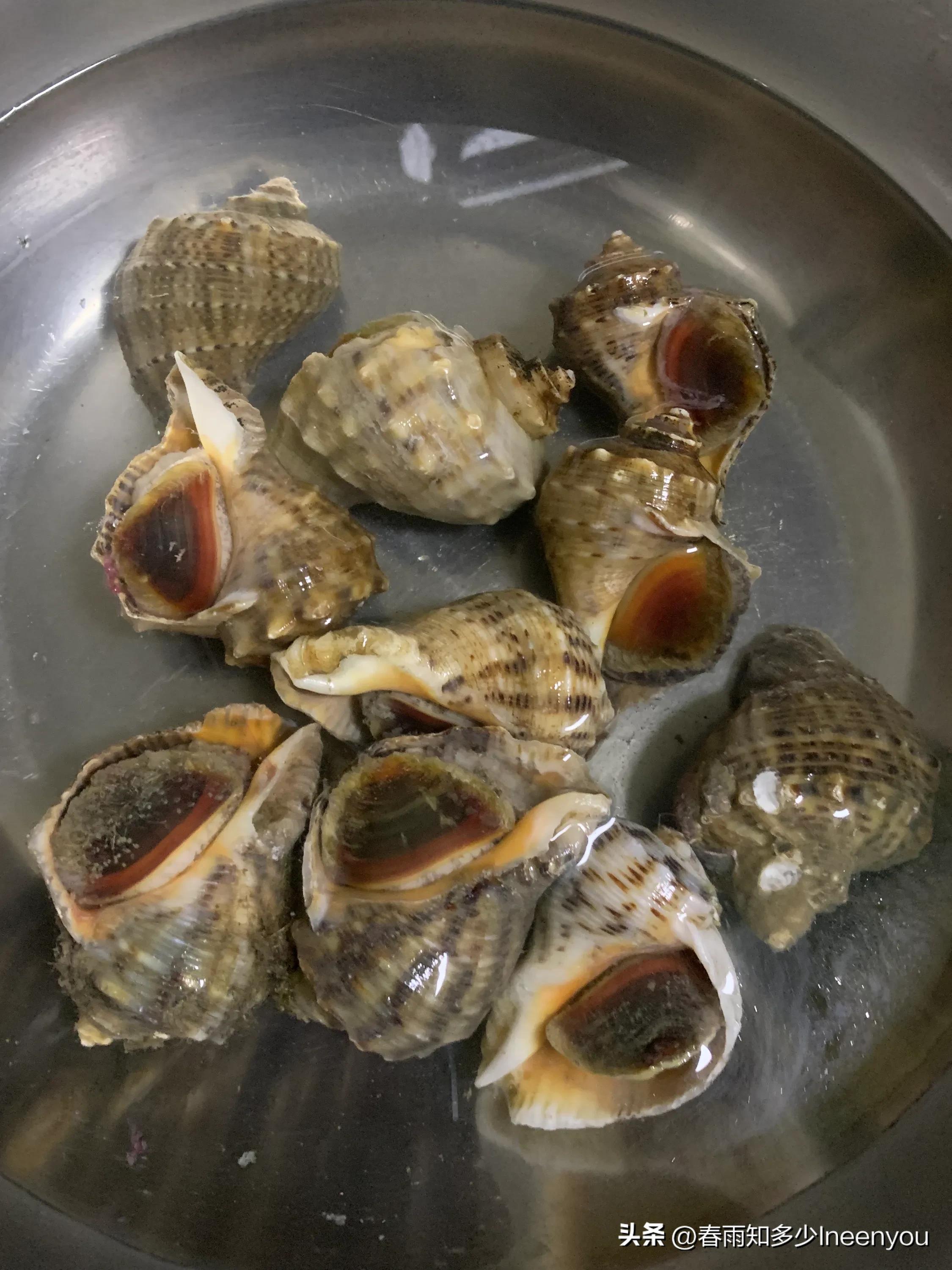 生活本就是不停的奔波,元旦将至忙忙碌碌