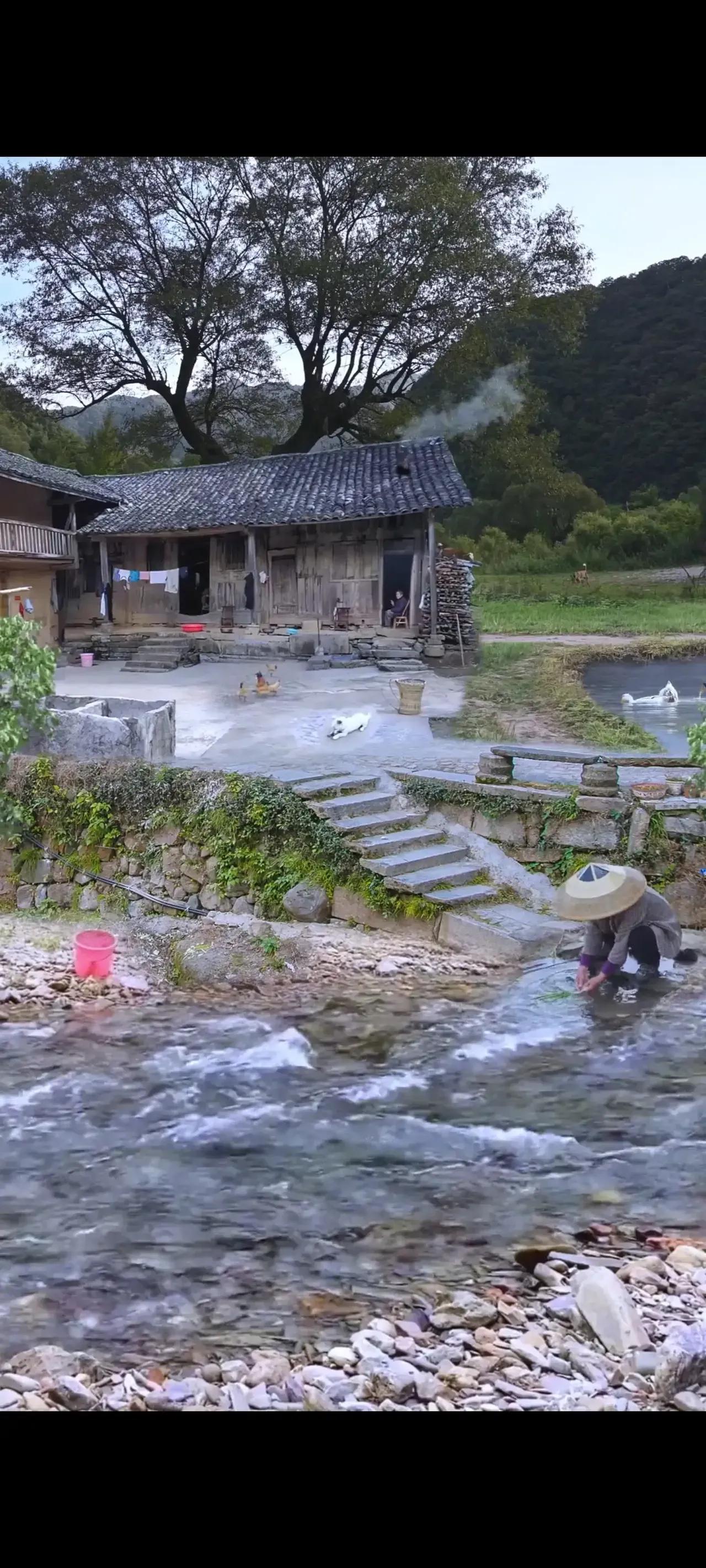 厮守一生的唯美诗句图片,相爱的诗句经典语录图片