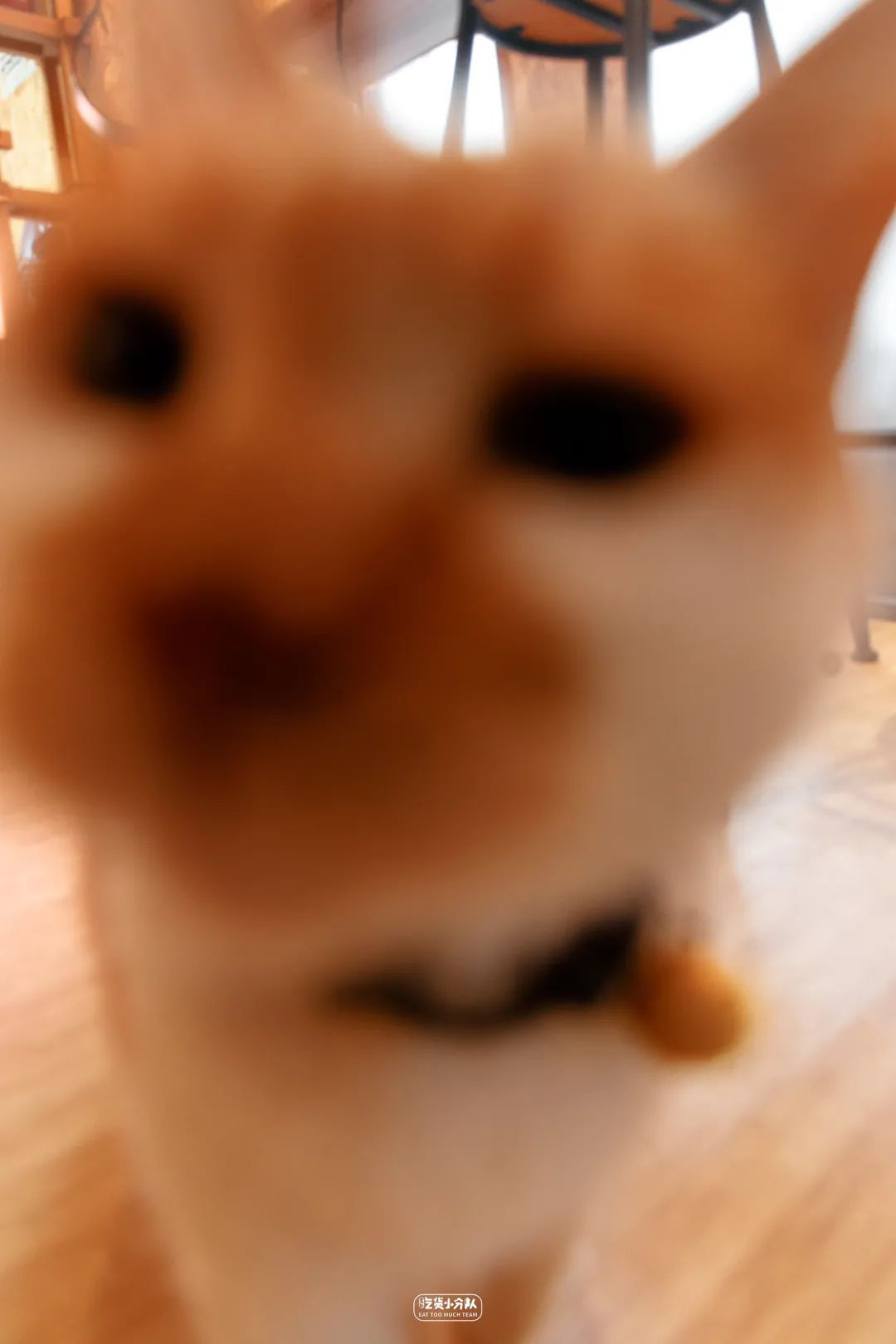 樱花最佳季节,樱花最盛开的时候